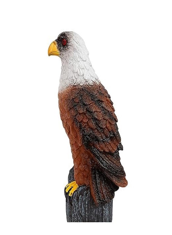 DTR Creation Kingfisher Rubber Toy Figure with Sound | Realistic Wildlife Bird Model for Kids | Musical Rubber Animal Toy | Educational Play | Collectible Figure (Multicolor, Pack fo 1ps) - Image 5